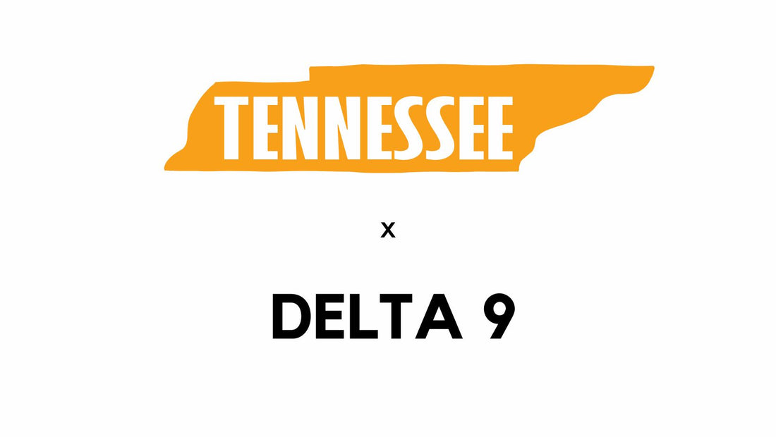 Is Delta 9 Legal in Tennessee