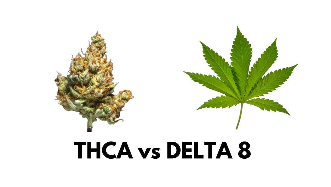 THCA vs Delta 8