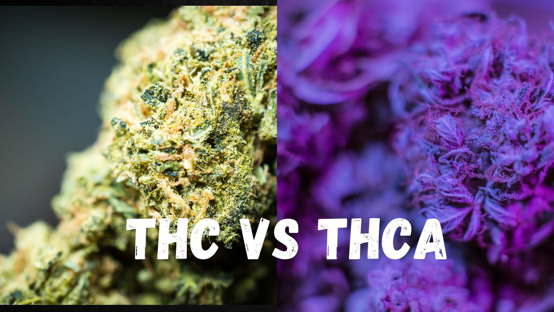 thc vs thca